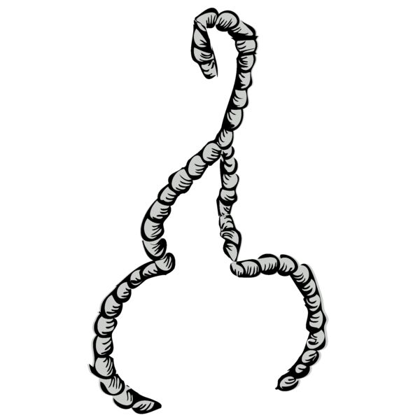 Anchor 60 Thumbnail