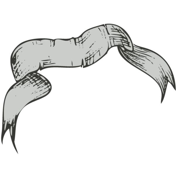 Banner 45 Thumbnail