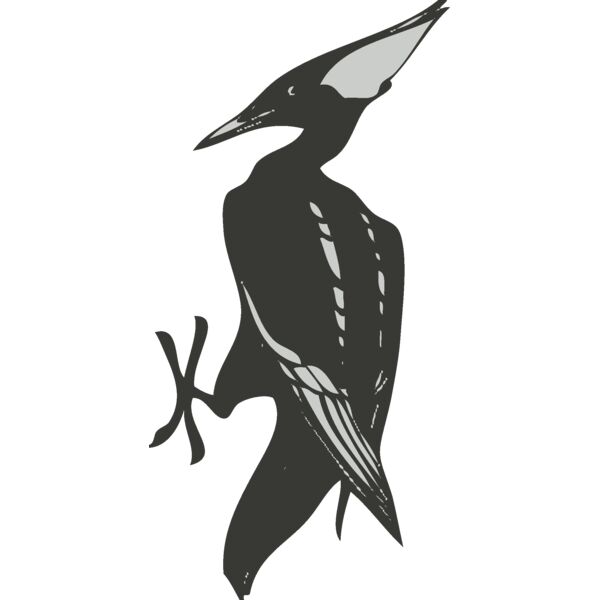 Bird 2 Thumbnail