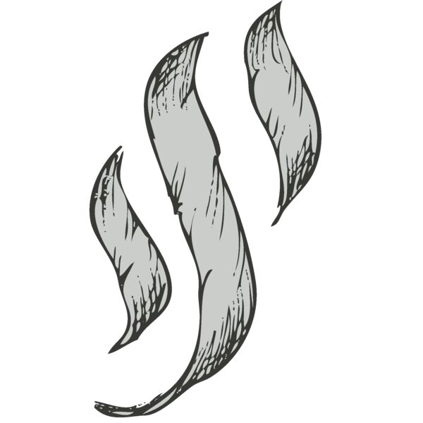 Banner 50 Thumbnail