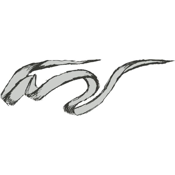 Banner 5 Thumbnail