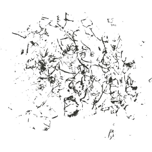 Bullet hole 106 Thumbnail
