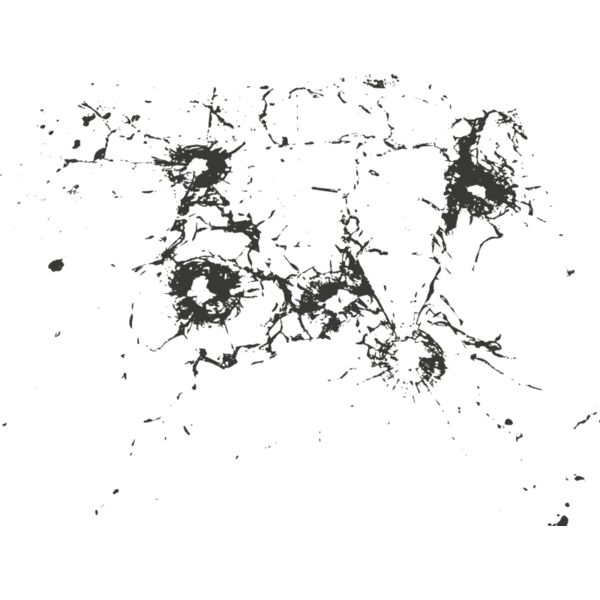 Bullet hole 118 Thumbnail