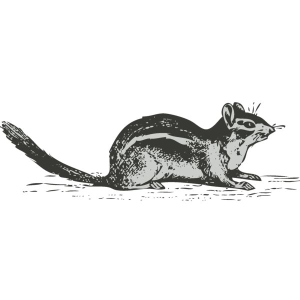 Animals   Chipmunk Thumbnail