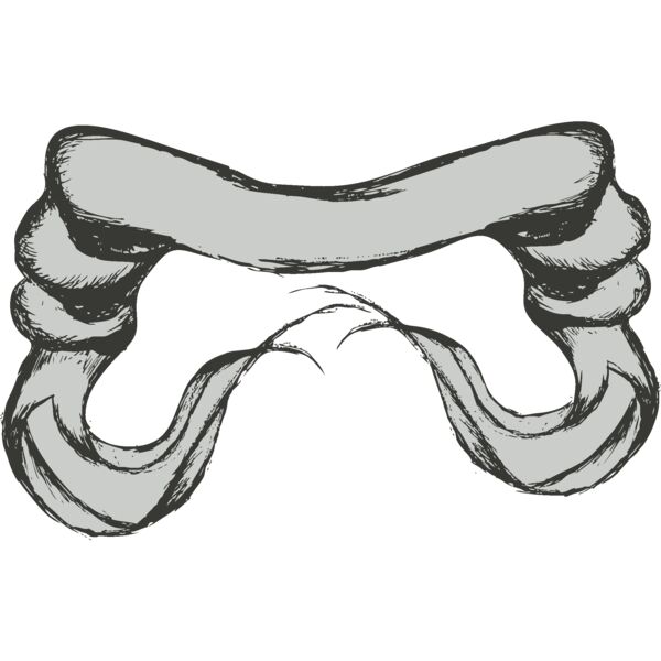 Banner 13 Thumbnail