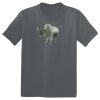 The Concert Tee ® Thumbnail